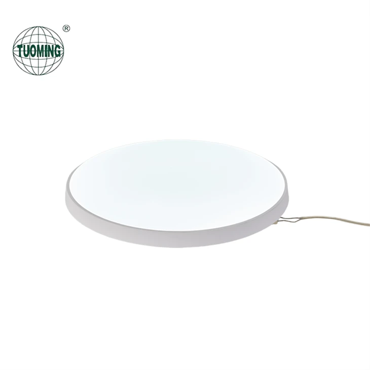 Large Round Led Ceiling Light suppliers